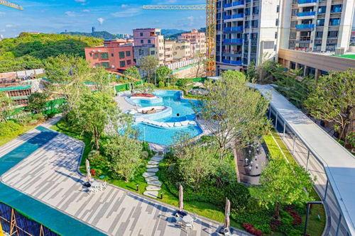 新城碧桂园爆料最新消息,揭秘项目进展与亮点