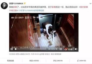 最新爆料家暴男,最新爆料揭露家暴男生悲剧